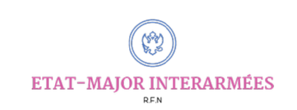 Armée de Novigrad (PNJ)