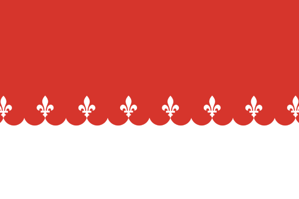 Drapeau de Waldheim