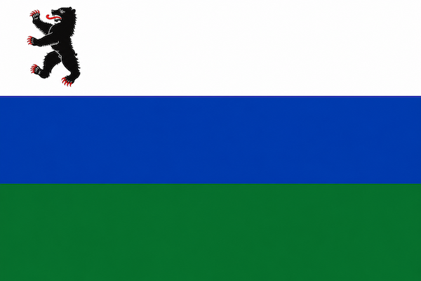 Drapeau de DOMOVOÏ