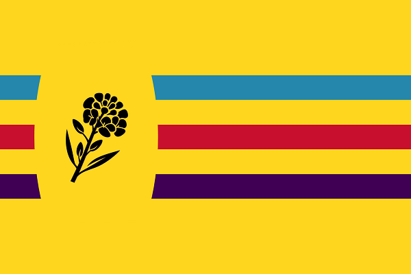 Icône de section